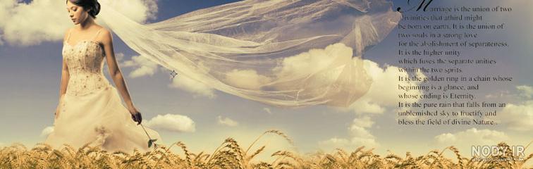 کلیپ کوتاه از گندم زار کلیپ کوتاه از گندم زار