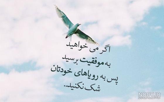 استوری واتساپ جدید