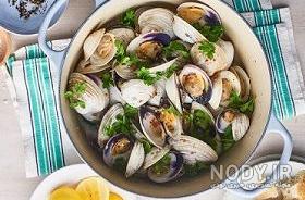 انواع صدف دریایی