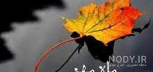 بیو اینستا مهر ماهی بیو اینستا مهر ماهی