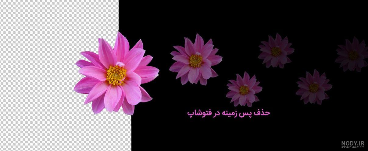 تغییر رنگ پس زمینه عکس آنلاین تغییر رنگ پس زمینه عکس آنلاین