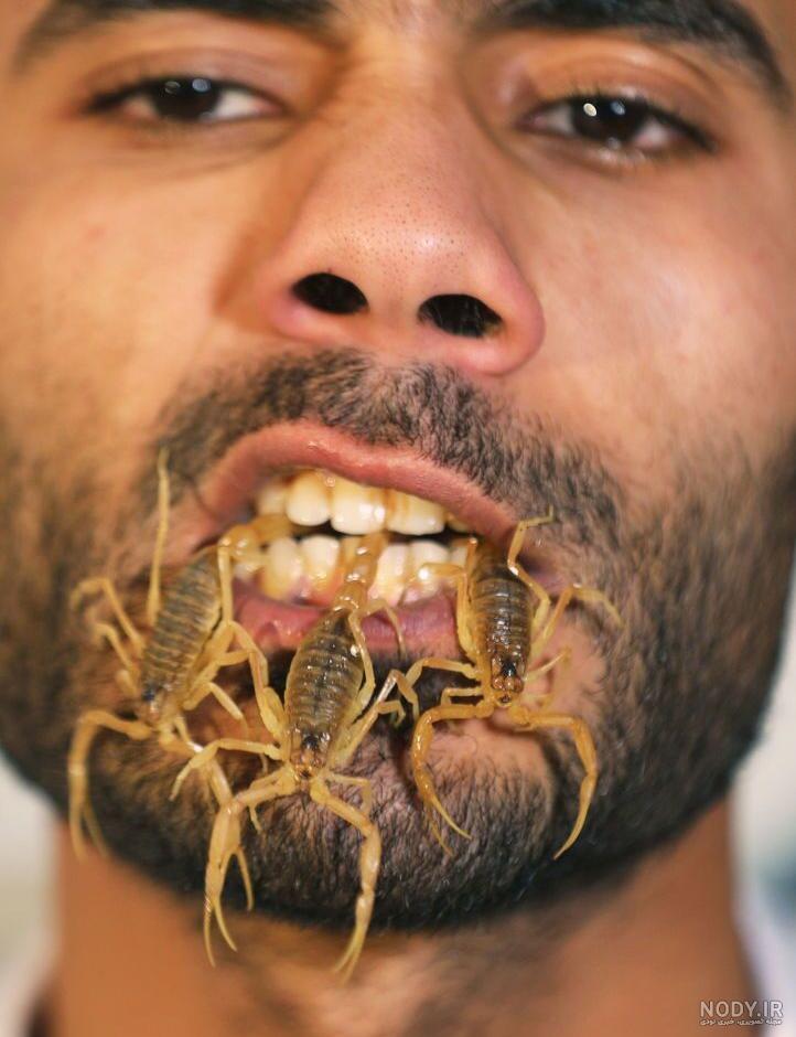 خوردن سوسک توسط نوزاد