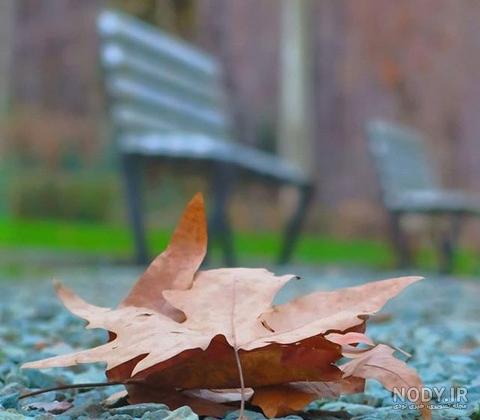 عکس برگ برای نقاشی عکس برگ برای نقاشی