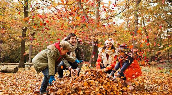 عکس برگ رنگی عکس برگ رنگی