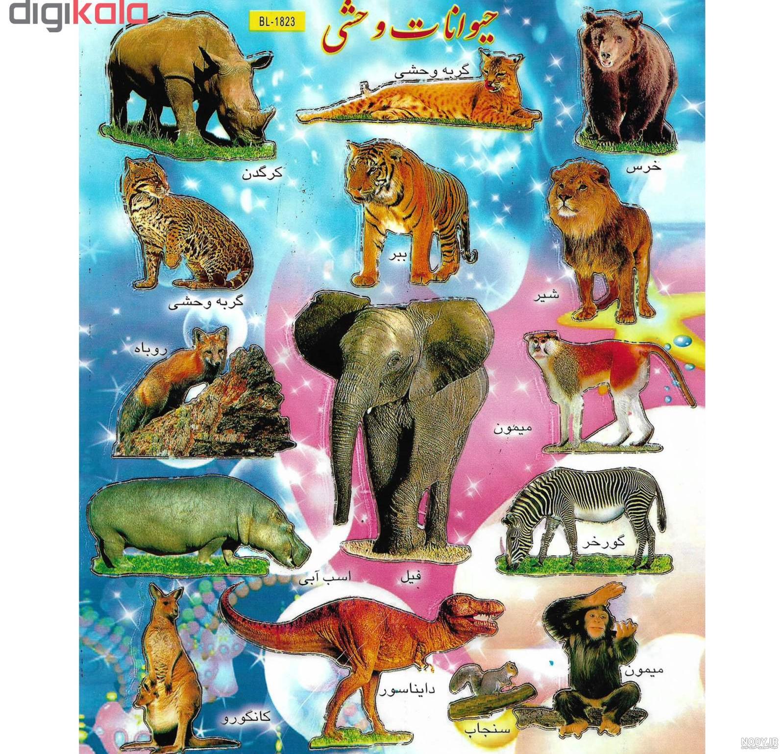 عکس حیوانات وحشی برای کودکان