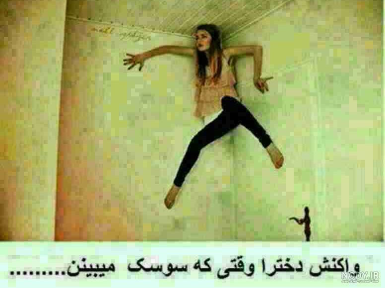 عکس خنده دار در مورد سوسک عکس خنده دار در مورد سوسک