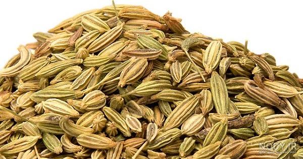 عکس رازیانه خواص