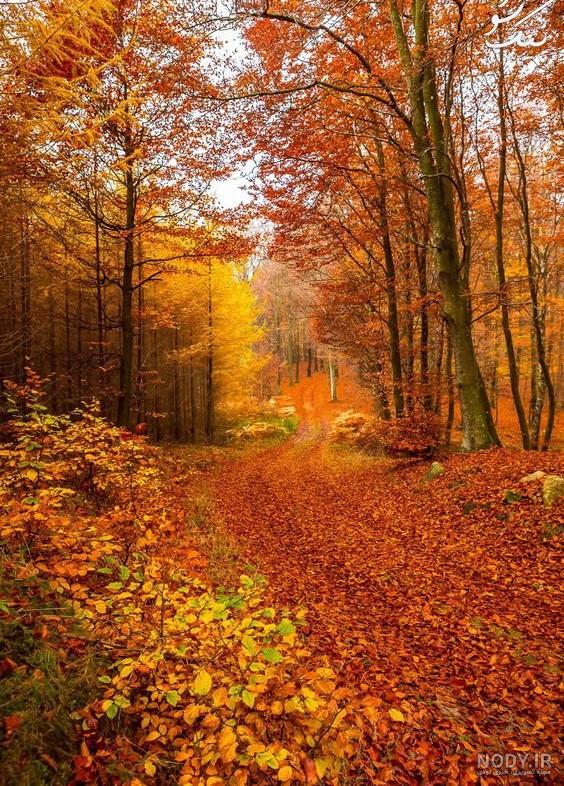 عکس پاییز بارانی عکس پاییز بارانی