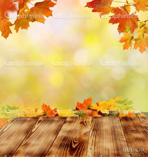 عکس پاییزی عکس پاییزی
