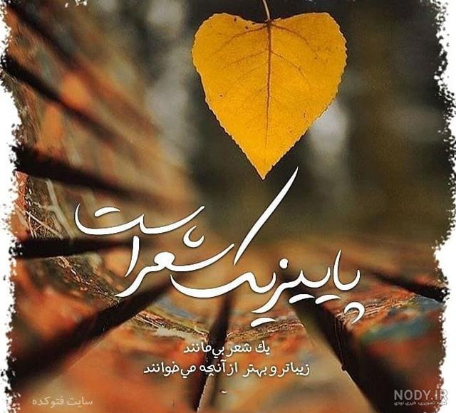 عکس پروفایل بارانی لاکچری