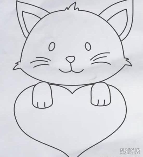 عکس گربه آسون