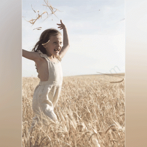 عکس گندم زار با کد ۲۲۲