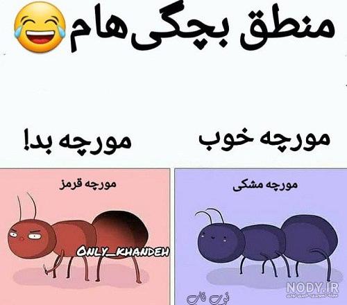 فیلم خنده دار فاطی فیلم خنده دار فاطی