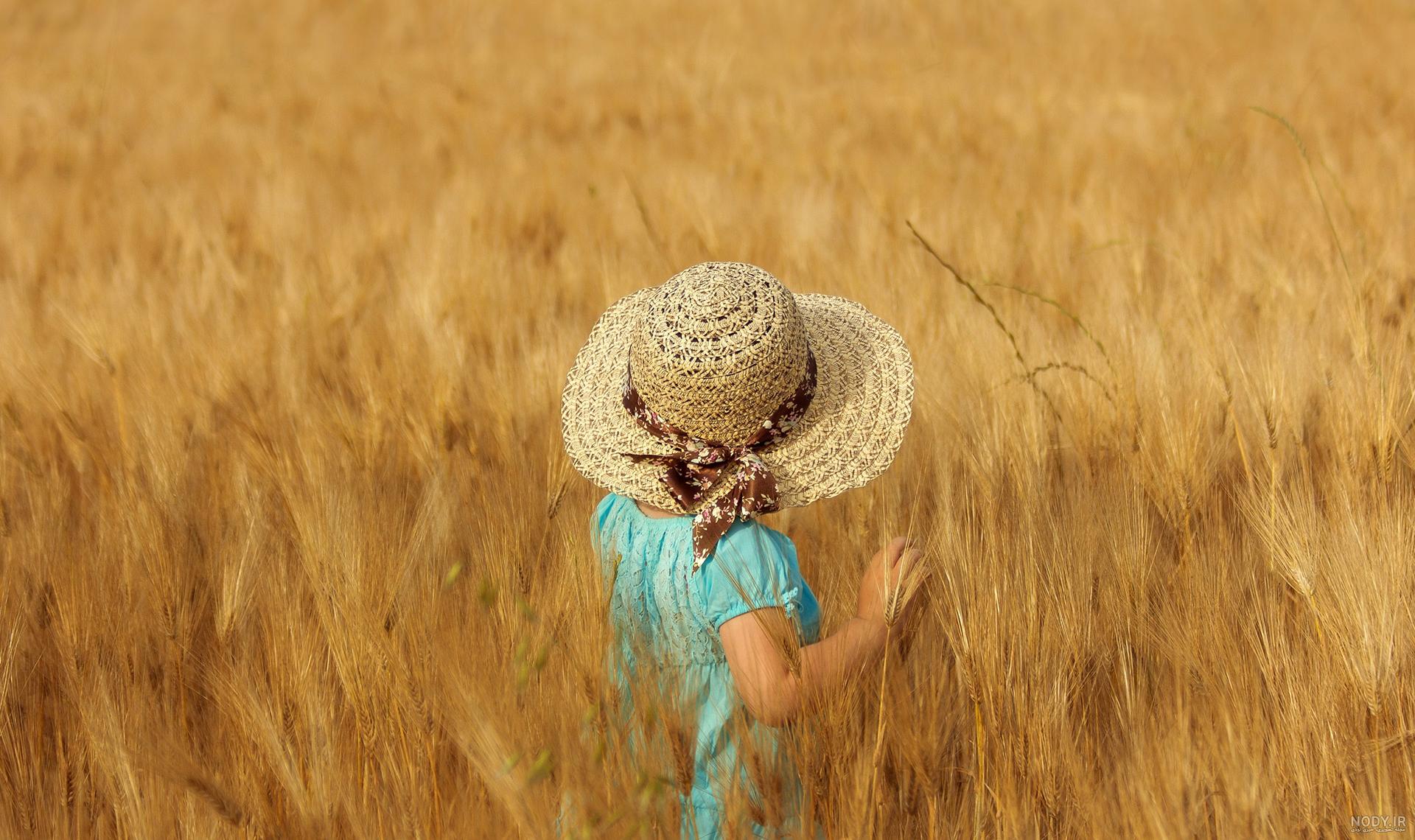 ژست عکاسی در مزرعه ذرت