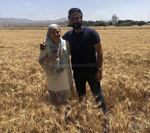  عکس گندم زار عاشقانه