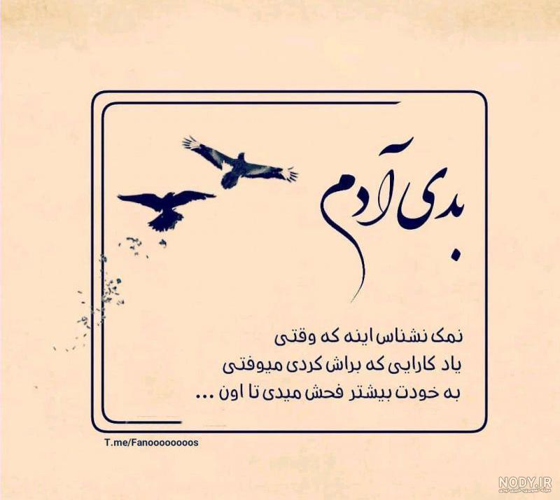 استوری نمک نشناسی