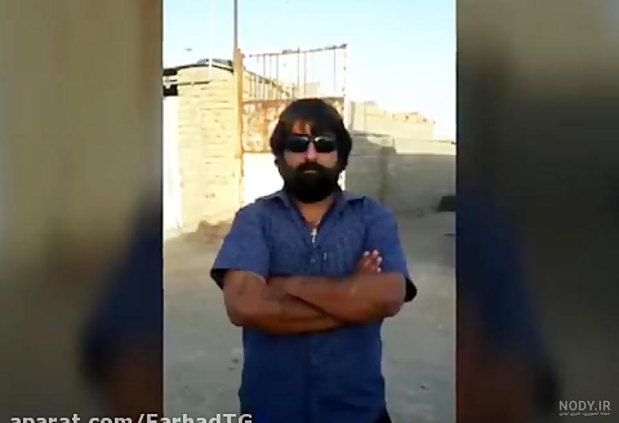 دعوای سگ علی پلنگ با گرگ