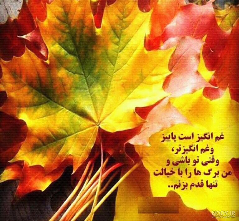 عکس باران پاییزی در شب