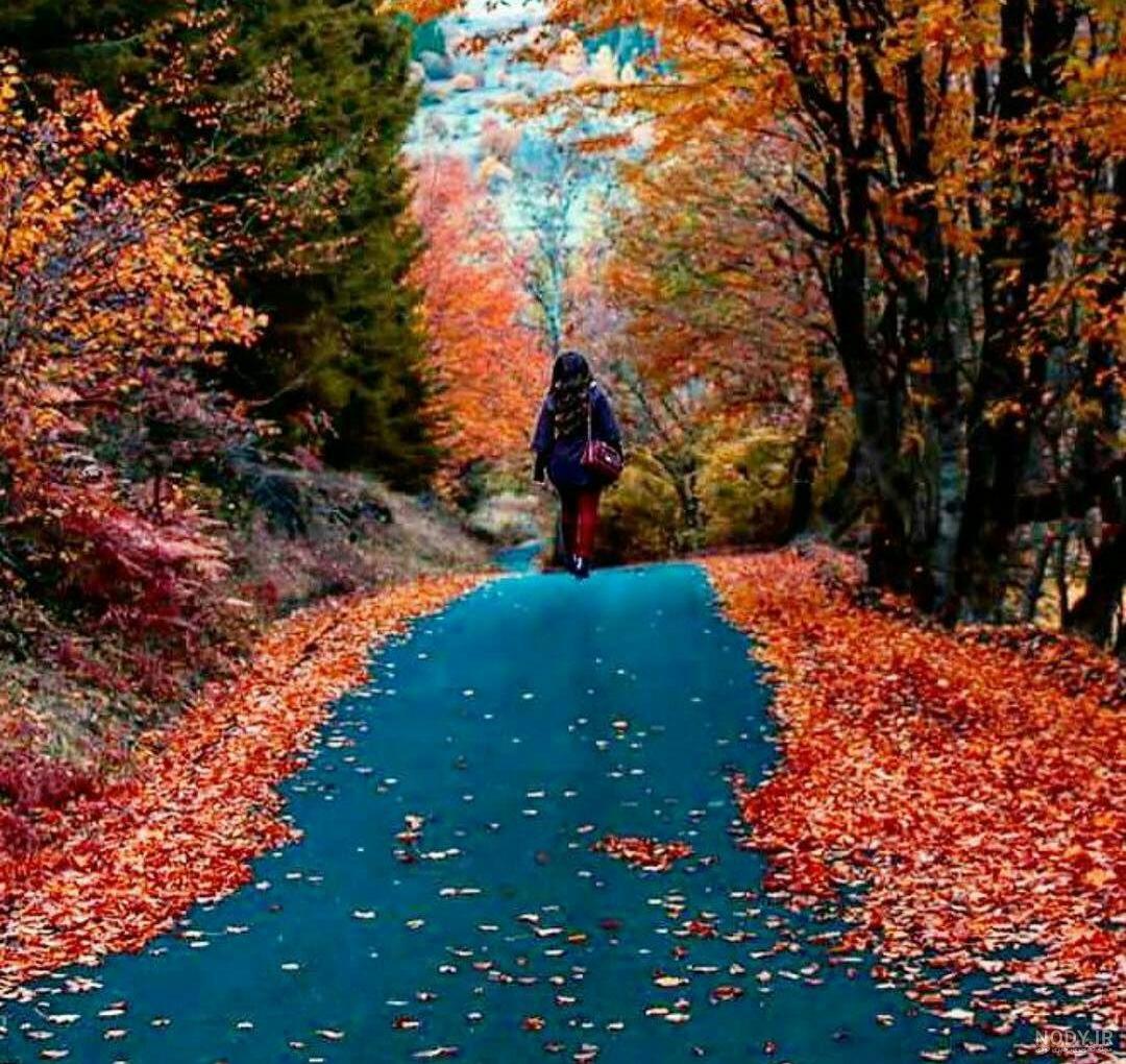 عکس غروب پاییز برای پروفایل