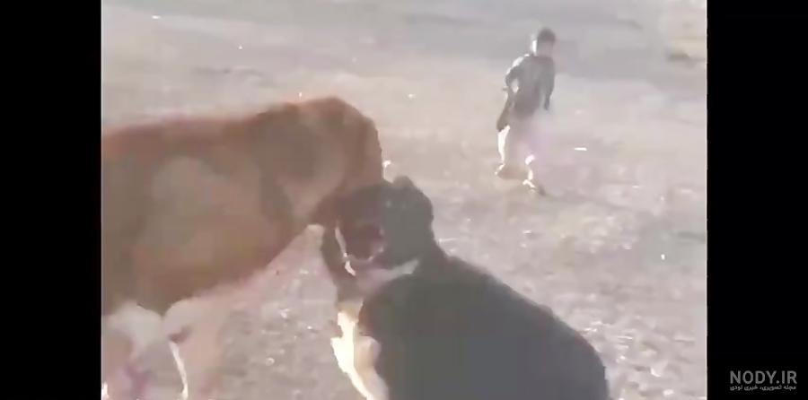 عکس قاتل علی پلنگ