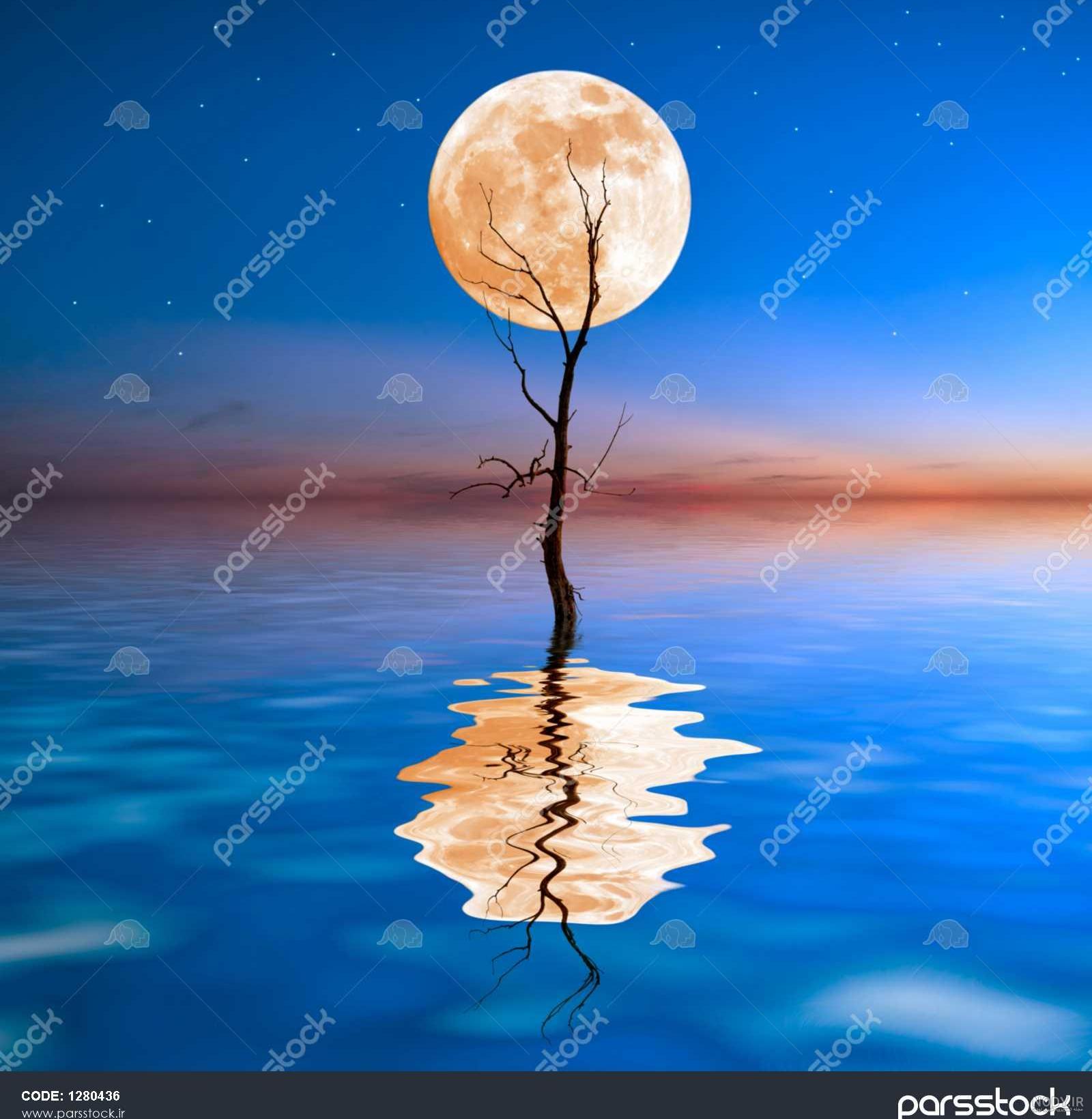 عکس ماه عاشقانه