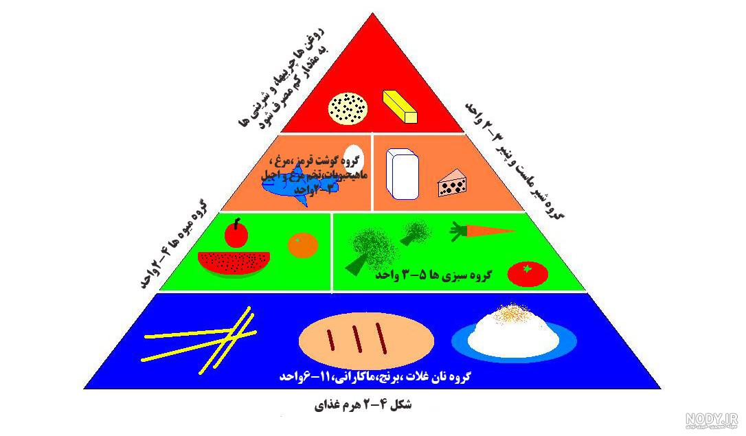 عکس هرم غذایی