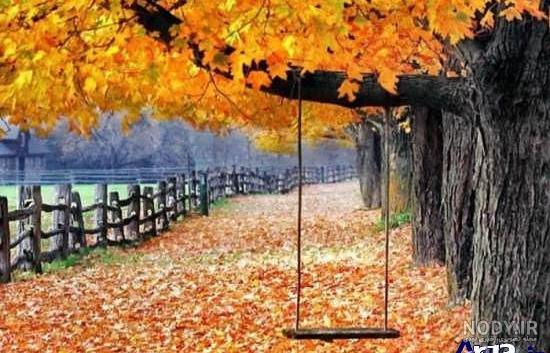 عکس پاییز عاشقانه با متن عکس پاییز عاشقانه با متن