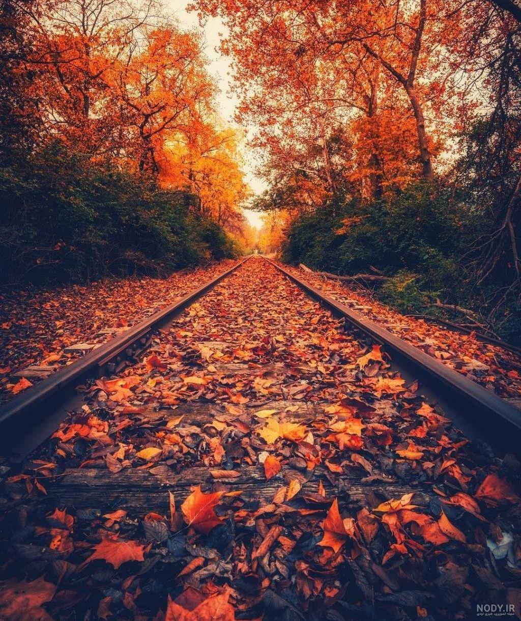 عکس پروفایل پاییزی بدون متن جدید
