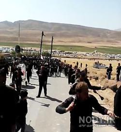فروش باغ در عنصرود فروش باغ در عنصرود