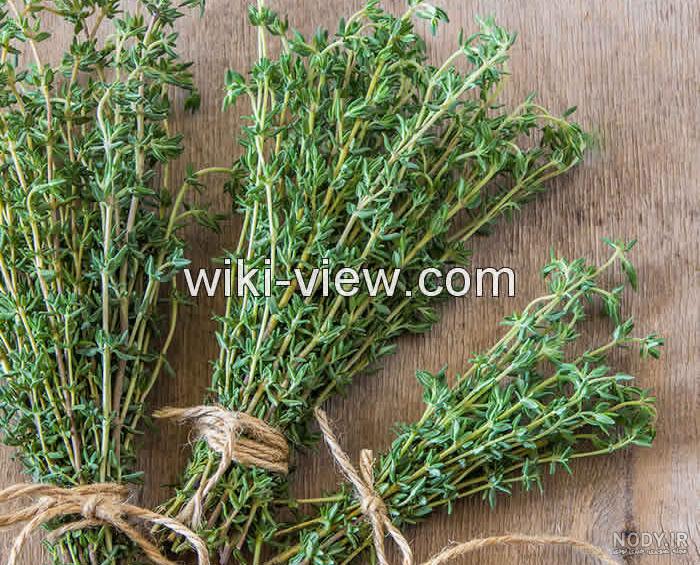قیمت آویشن شیرازی