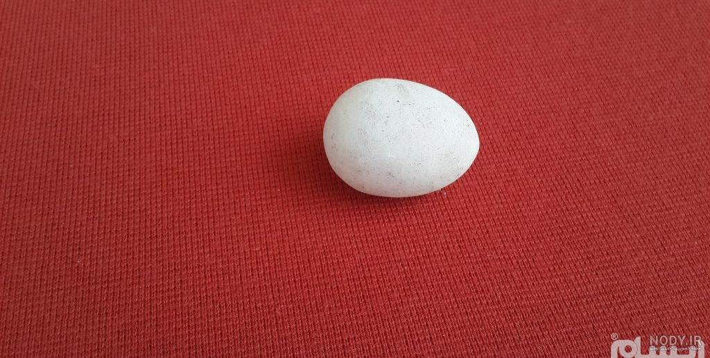 گوهر شب چراغ در کجا یافت میشود گوهر شب چراغ در کجا یافت میشود