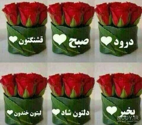 آدینه تون بخیر و شادی