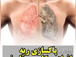آیا ریه ترمیم میشود