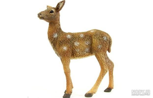 الگوی آهو الگوی آهو