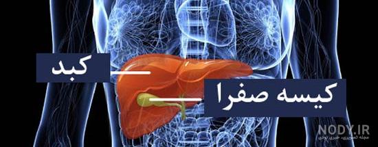 دکتر خیراندیش و سنگ صفرا نی نی سایت دکتر خیراندیش و سنگ صفرا نی نی سایت