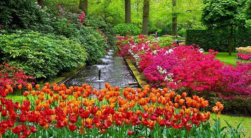 زیباترین عکس پاییزی دنیا زیباترین عکس پاییزی دنیا