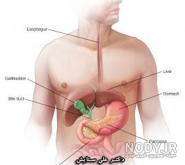 علائم دفع سنگ صفرا نی نی سایت علائم دفع سنگ صفرا نی نی سایت