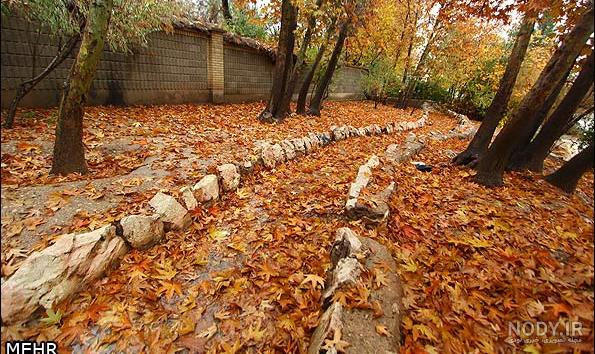 عکس باران پاییزی شیراز عکس باران پاییزی شیراز