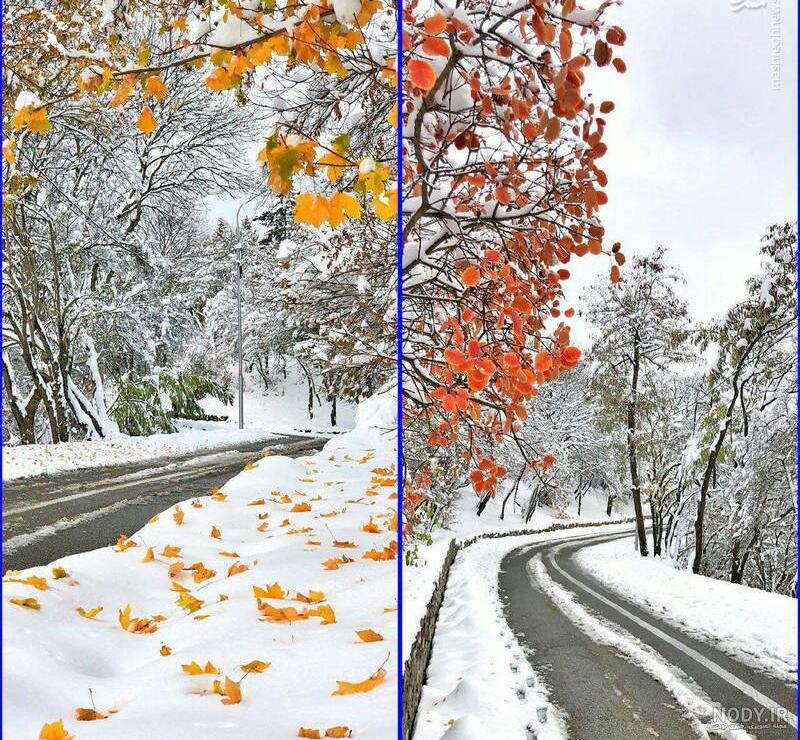 عکس برگ پاییزی عکس برگ پاییزی