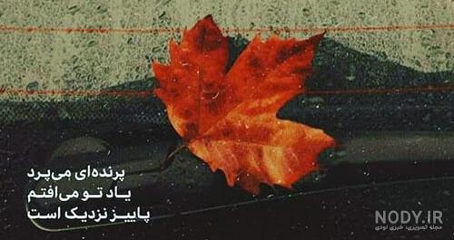 عکس برگ پاییزی برای پروفایل عکس برگ پاییزی برای پروفایل