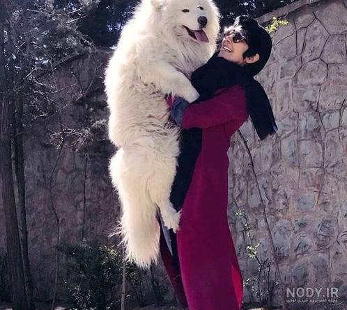 عکس سگ های غول پیکر جهان عکس سگ های غول پیکر جهان