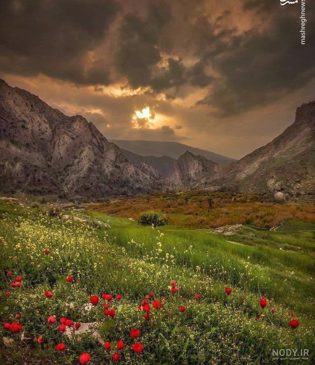 عکس های از شهر گچساران عکس های از شهر گچساران