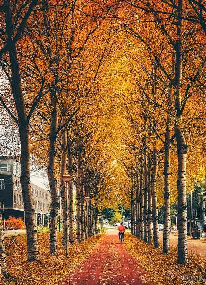 عکس پاییز بارانی عکس پاییز بارانی