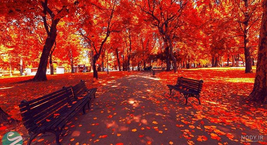 عکس پاییز برای پروفایل واتساپ عکس پاییز برای پروفایل واتساپ