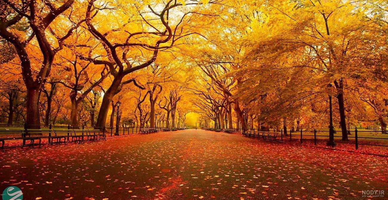 عکس پاییزی عاشقانه عکس پاییزی عاشقانه