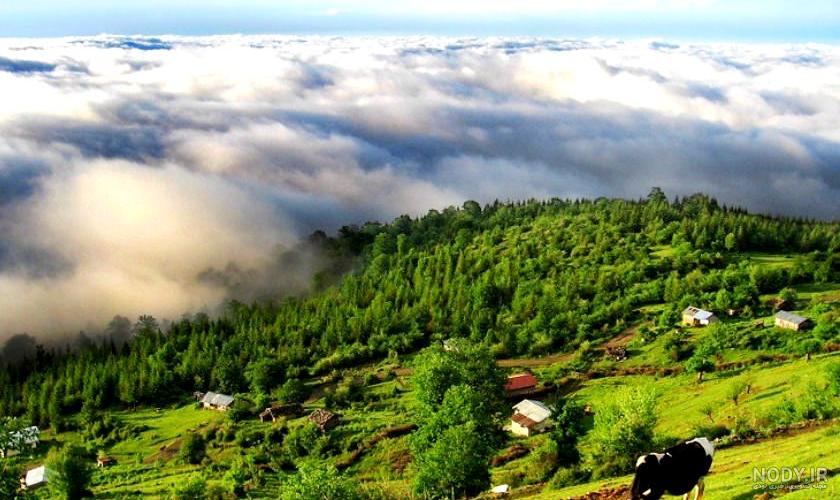 عکس پروفایل سفر شمال عکس پروفایل سفر شمال