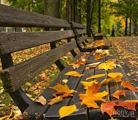 عکسهای خزان پاییز عکسهای خزان پاییز