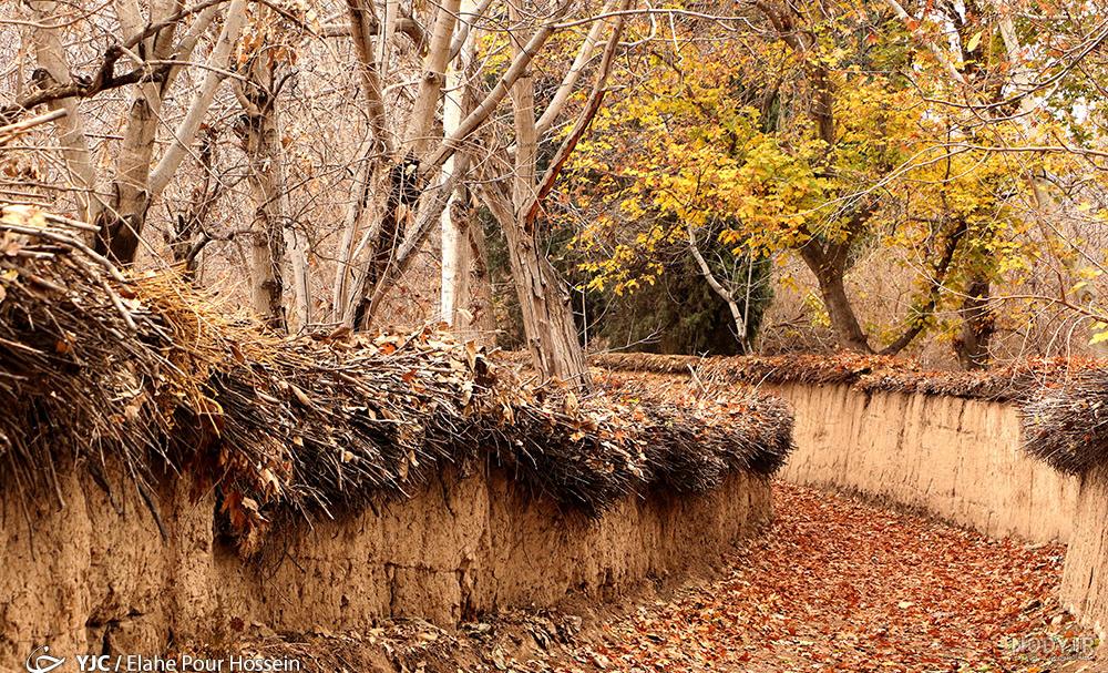 عکسهای پاییزی شیراز عکسهای پاییزی شیراز