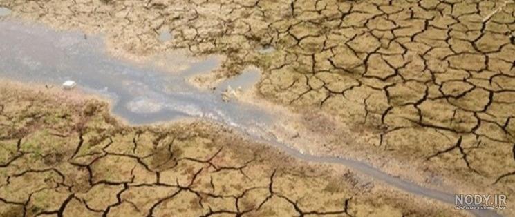 چه گیاهانی در خاک شور رشد می کنند علوم پنجم چه گیاهانی در خاک شور رشد می کنند علوم پنجم