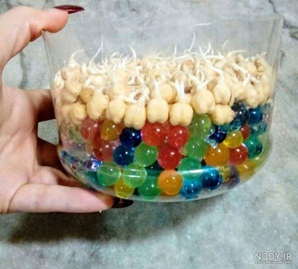 چگونه خاک ژله ای را بزرگ کنیم